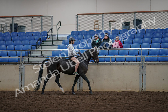 2019 Morgan Horse Show - Aug 30, 2019 - 31392