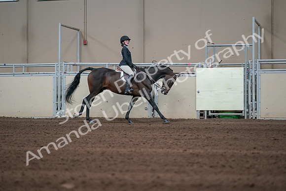 2019 Morgan Horse Show - Sept 01, 2019 - 03909