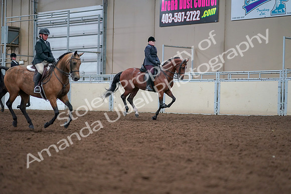 2019 Morgan Horse Show - Aug 30, 2019 - 21048