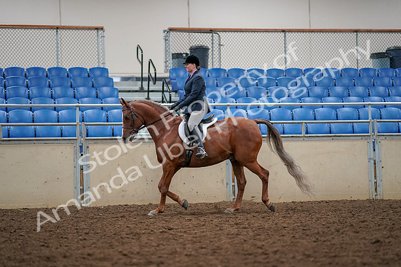 2019 Morgan Horse Show - Aug 30, 2019 - 22306