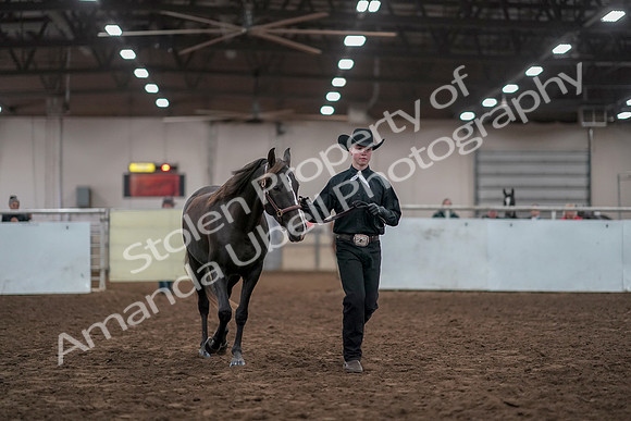 2019 Morgan Horse Show - Aug 31, 2019 - 01906