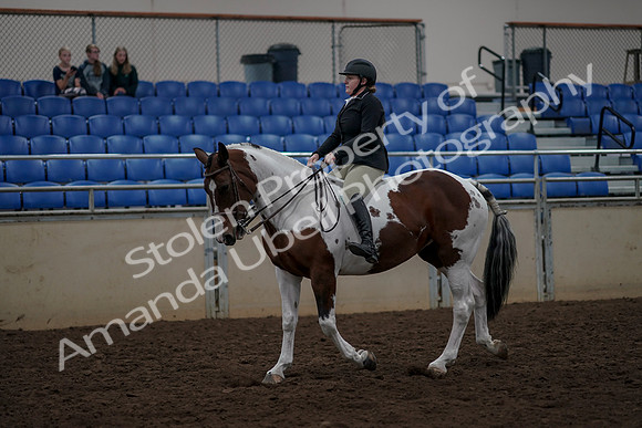 2019 Morgan Horse Show - Aug 30, 2019 - 31125