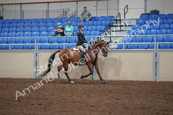 2020 - AB Morgan Horse - Fri, Sept 04 - 06121