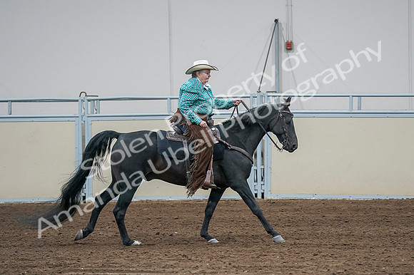 2020 - AB Morgan Horse - Fri, Sept 04 - 00617