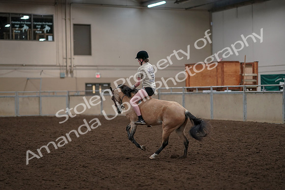 2019 Morgan Horse Show - Aug 30, 2019 - 31249