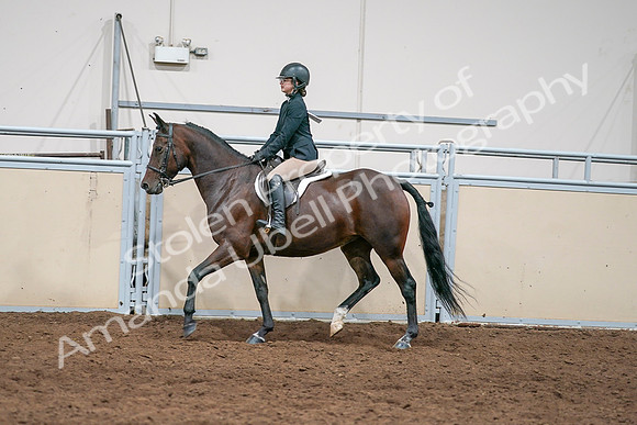 2020 - AB Morgan Horse - Sat, Sept 05 - 04976