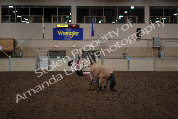 2019 Morgan Horse Show - Aug 30, 2019 - 31269