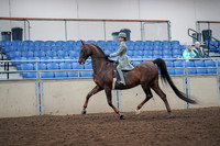 2019 Morgan Horse Show - Aug 30, 2019 - 17782