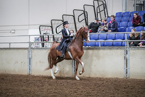 Spring Fling - Saturday - April 20, 2019  -  04382