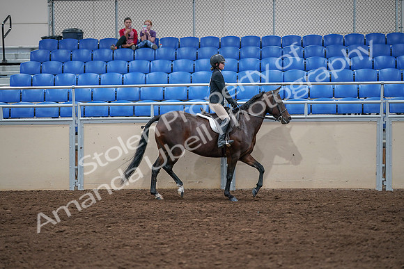 2020 - AB Morgan Horse - Sat, Sept 05 - 05130
