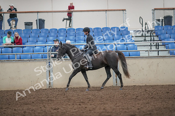 2019 Morgan Horse Show - Aug 31, 2019 - 07195
