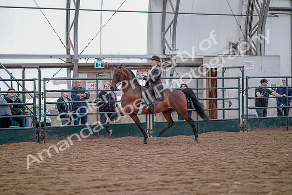July 20, 2019 - 13855
