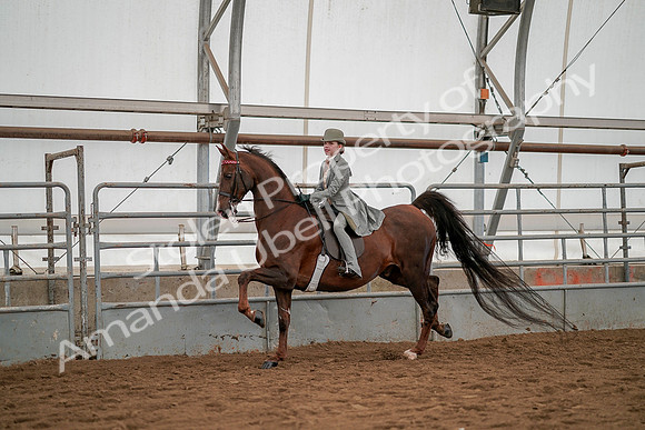 July 19, 2019 - 3976