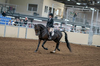2020 - AB Morgan Horse - Fri, Sept 04 - 05801