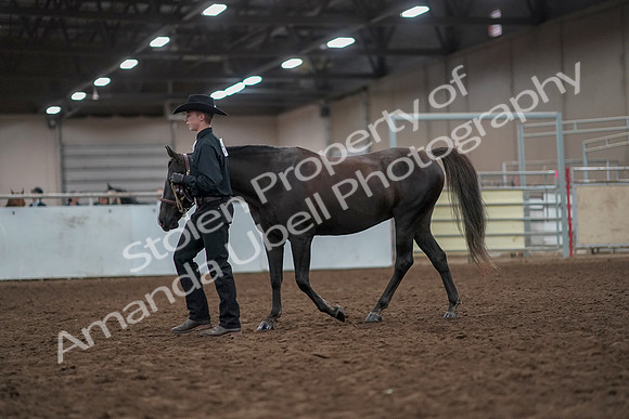 2019 Morgan Horse Show - Aug 31, 2019 - 02030
