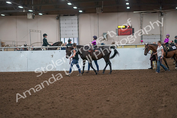 2019 Morgan Horse Show - Aug 31, 2019 - 18885