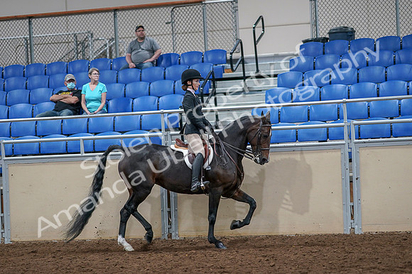 2020 - AB Morgan Horse - Fri, Sept 04 - 06042