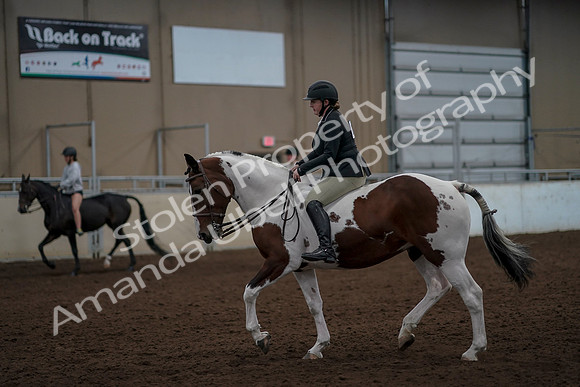 2019 Morgan Horse Show - Aug 30, 2019 - 31162