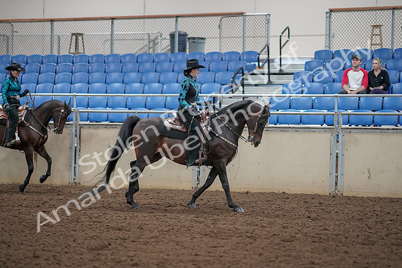 2019 Morgan Horse Show - Aug 30, 2019 - 26164