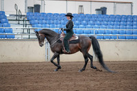 2019 Morgan Horse Show - Sept 01, 2019 - 11207
