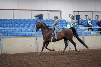 2019 Morgan Horse Show - Aug 30, 2019 - 17777