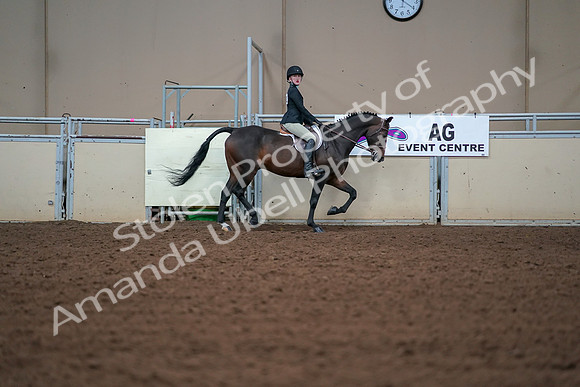 2019 Morgan Horse Show - Aug 30, 2019 - 20683