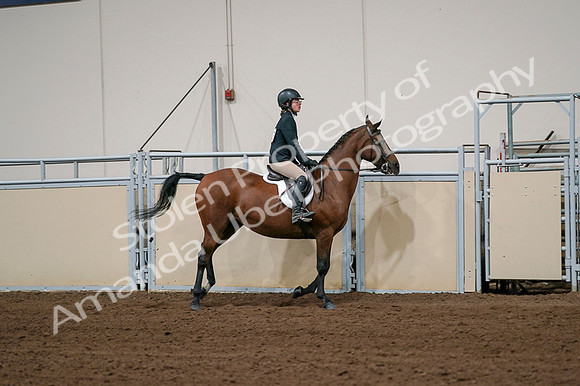 2020 - AB Morgan Horse - Fri, Sept 04 - 02094
