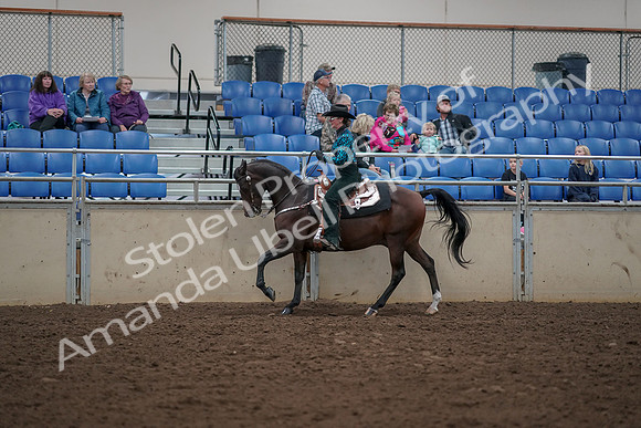 2019 Morgan Horse Show - Aug 30, 2019 - 26055