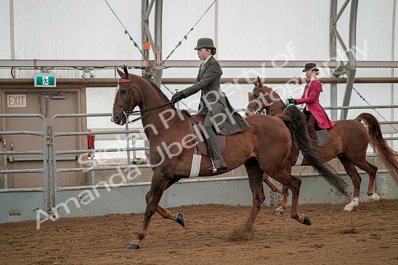 July 20, 2019 - 02213