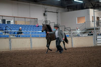 2019 Morgan Horse Show - Aug 31, 2019 - 03373