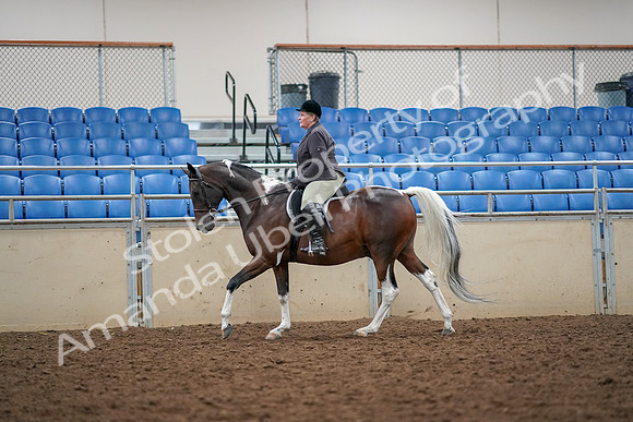 2019 Morgan Horse Show - Aug 30, 2019 - 22327