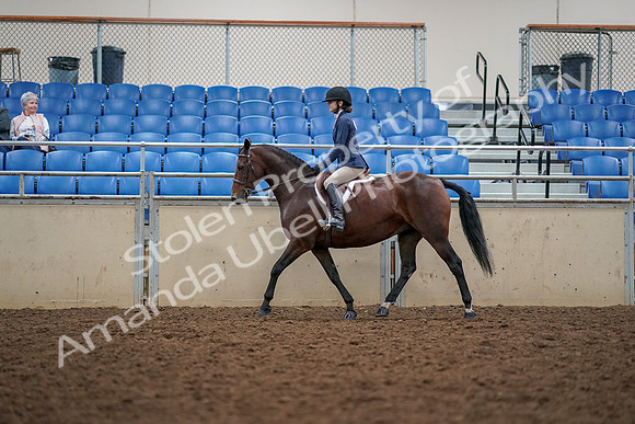 2019 Morgan Horse Show - Aug 30, 2019 - 23393