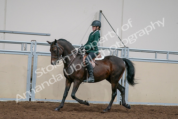 2020 - AB Morgan Horse - Sat, Sept 05 - 05049