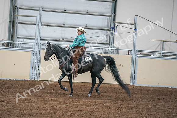 2020 - AB Morgan Horse - Fri, Sept 04 - 00593