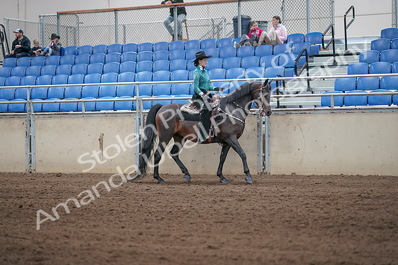 2019 Morgan Horse Show - Sept 01, 2019 - 07103