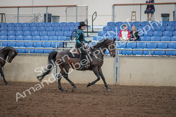 2019 Morgan Horse Show - Aug 30, 2019 - 26170