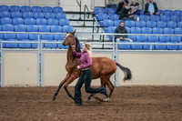 2020 - AB Morgan Horse - Sat, Sept 05 - 00545