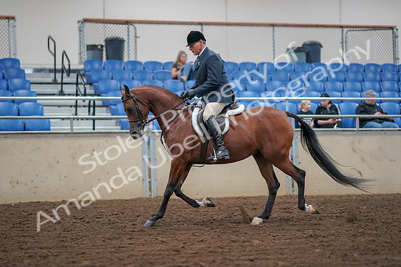 2019 Morgan Horse Show - Aug 30, 2019 - 16125