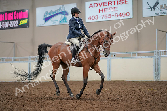 2019 Morgan Horse Show - Aug 30, 2019 - 22544