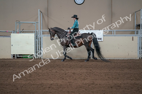 2019 Morgan Horse Show - Sept 01, 2019 - 06927