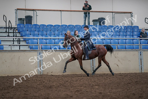 2019 Morgan Horse Show - Aug 31, 2019 - 09351
