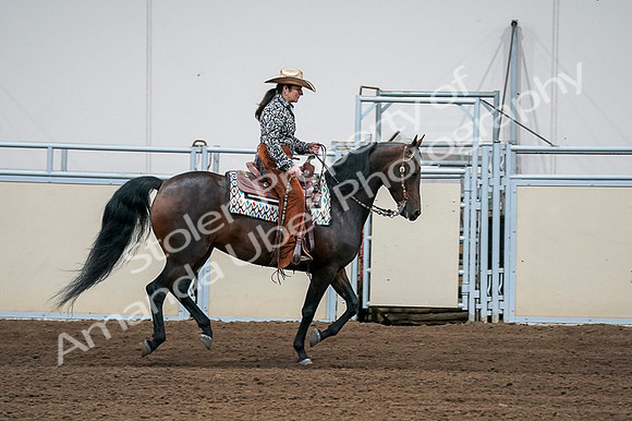 2020 - AB Morgan Horse - Fri, Sept 04 - 00420