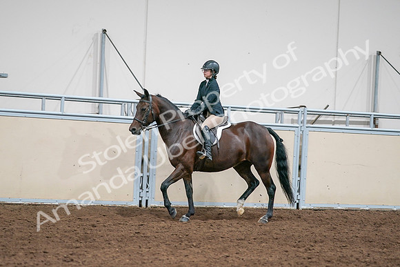 2020 - AB Morgan Horse - Sat, Sept 05 - 09073