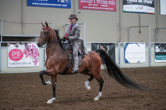 Spring Fling - Saturday - April 20, 2019  -  00605
