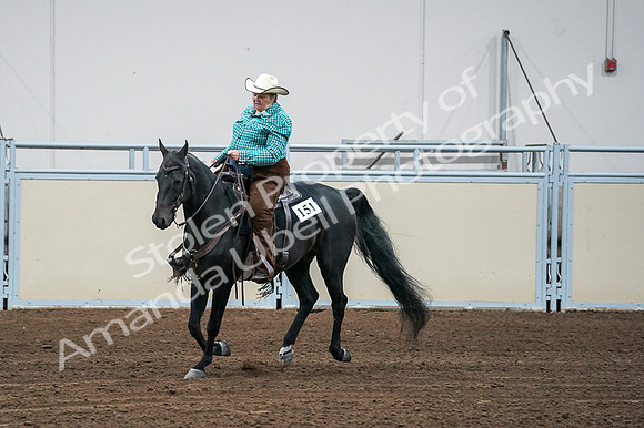 2020 - AB Morgan Horse - Fri, Sept 04 - 00504