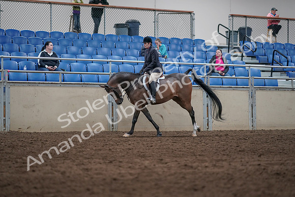 2019 Morgan Horse Show - Sept 01, 2019 - 08715