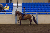 Class 22 - All Breed Hunter Pleasure, Sr. Horse