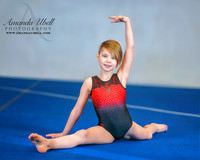 Fort Sask Gymnastics 2019 - Feb 17, 2019 - logo - 01577