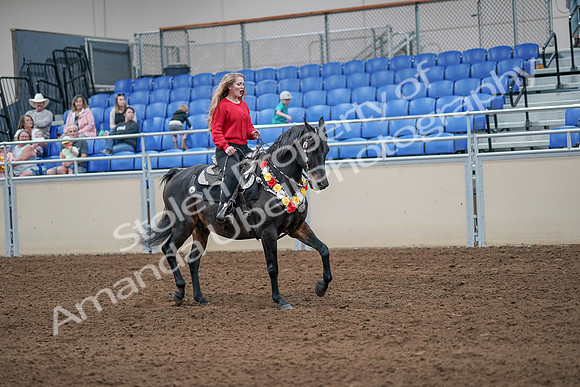 2020 - AB Morgan Horse - Sat, Sept 05 - 10510