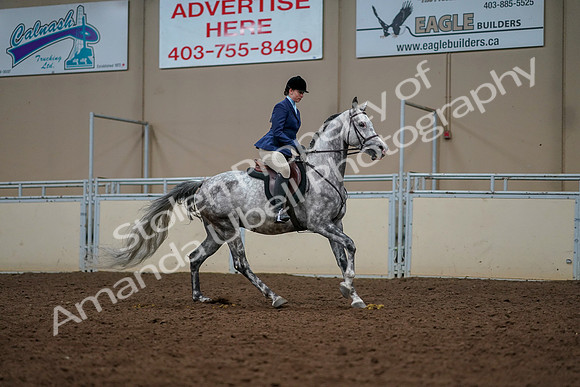 2019 Morgan Horse Show - Aug 30, 2019 - 22521